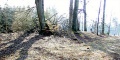 Thumbnail af versionen fra 23. apr 2015, 14:50