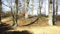 Thumbnail af versionen fra 23. apr 2015, 15:16