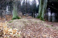 Thumbnail af versionen fra 23. apr 2015, 15:33