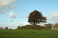 Thumbnail af versionen fra 8. okt 2014, 13:51