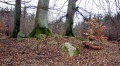 Thumbnail af versionen fra 23. apr 2015, 15:43