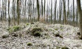 Thumbnail af versionen fra 23. apr 2015, 15:43