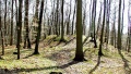 Thumbnail af versionen fra 23. apr 2015, 15:05